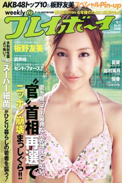 踩踏小说