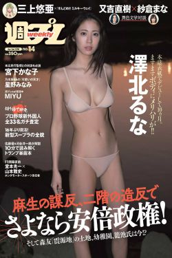 促醒者电视剧演员表