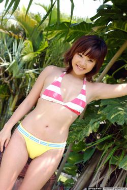 来自虞美人之坡