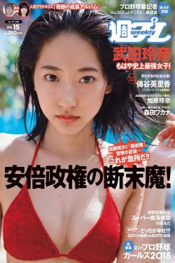 番茄影视